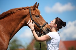 Ohne Druck und Zwang – Pferdegerechte Ausbildung mit positiver Verstärkung
