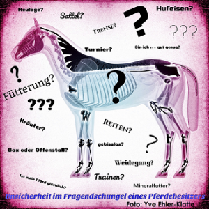 Fragendschungel