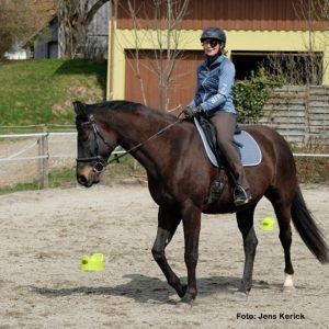 Natural Horse 35 03-2021 Denk mal neuro! Fitteres Gehirn = besseres Reiten