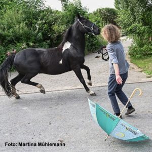 Natural Horse 36 SH 06 Angst bei Pferd & Mensch