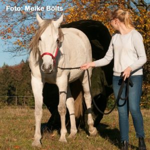 Natural Horse 36 Spezial Angst bei Pferd und Mensch