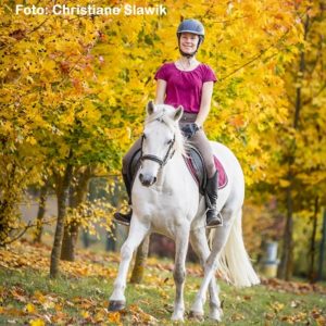 Natural Horse 36 Spezial Angst bei Pferd und Mensch