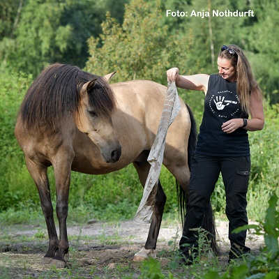 Natural Horse 37 04/2021