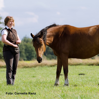 Natural Horse 37 04/2021