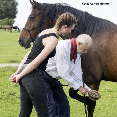 Natural Horse 37 04/2021