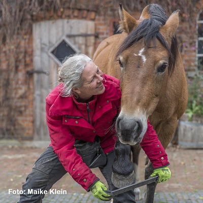 Natural Horse 37 04/2021