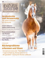 Natural Horse 48 06/2023