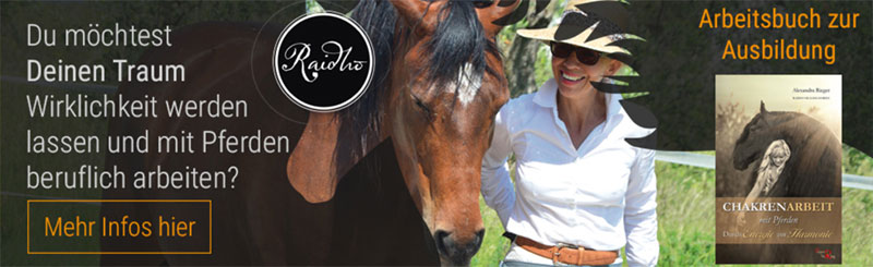 Raidho Healing Horses Ausbildung