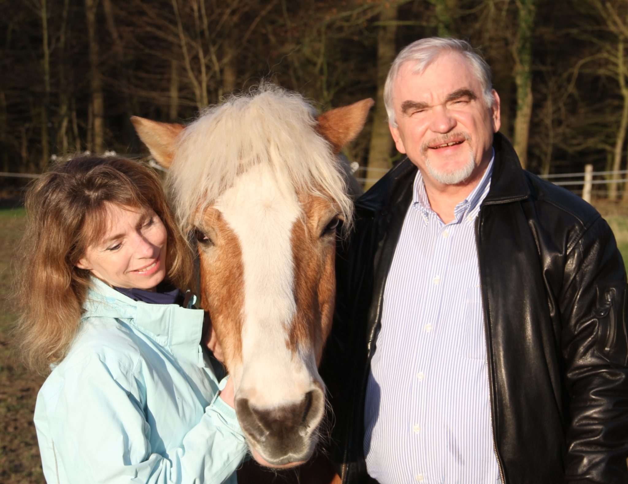 Selenmangel - eine weit verbreitete Pferdekrankheit - Naturalhorse