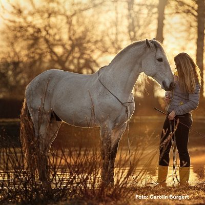 Natural Horse 38 01/2022 Mit gefühlvollem Training
