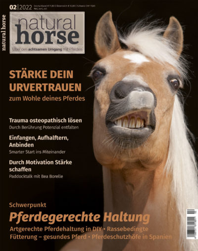 Natural Horse 39 02/2022