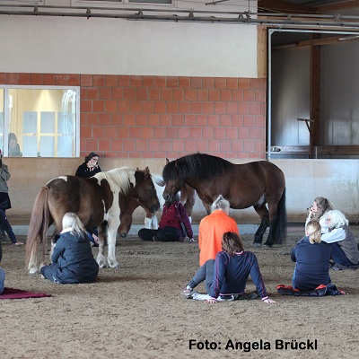 Natural Horse 39 02/2022 Pferdegerechte Haltung