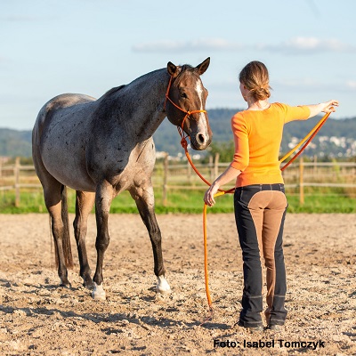 Natural Horse 40 03/2022 Rund ums Heu