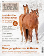 Natural Horse 42 04/2022