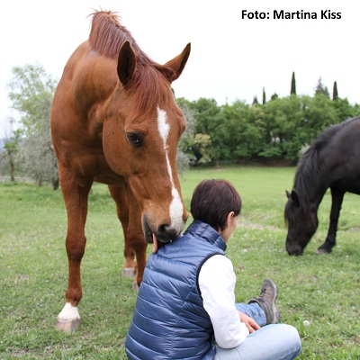 Natural Horse 42 04/2022