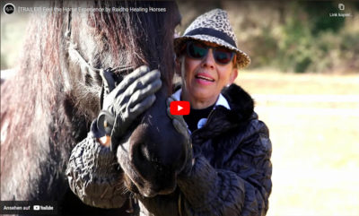 Link zu YouTube-Video: Raidho - Healing Horses