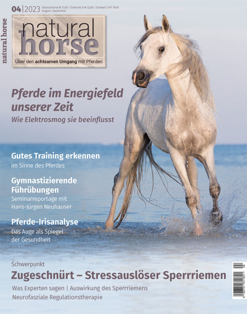 Natural Horse 46 04/2023
