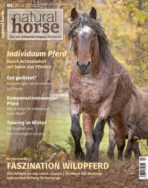 Natural Horse 47 05/2023