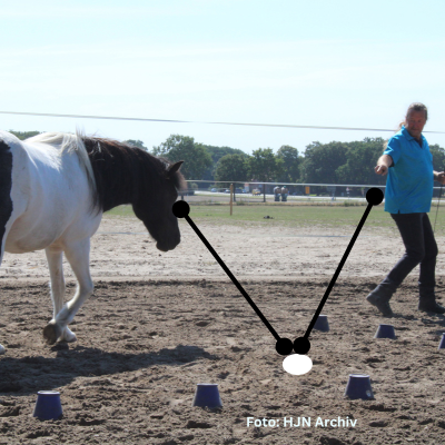 Natural Horse 50 - Körpersprache lernen