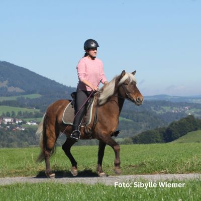 Natural Horse 50 - Kommunikation beim Reiten