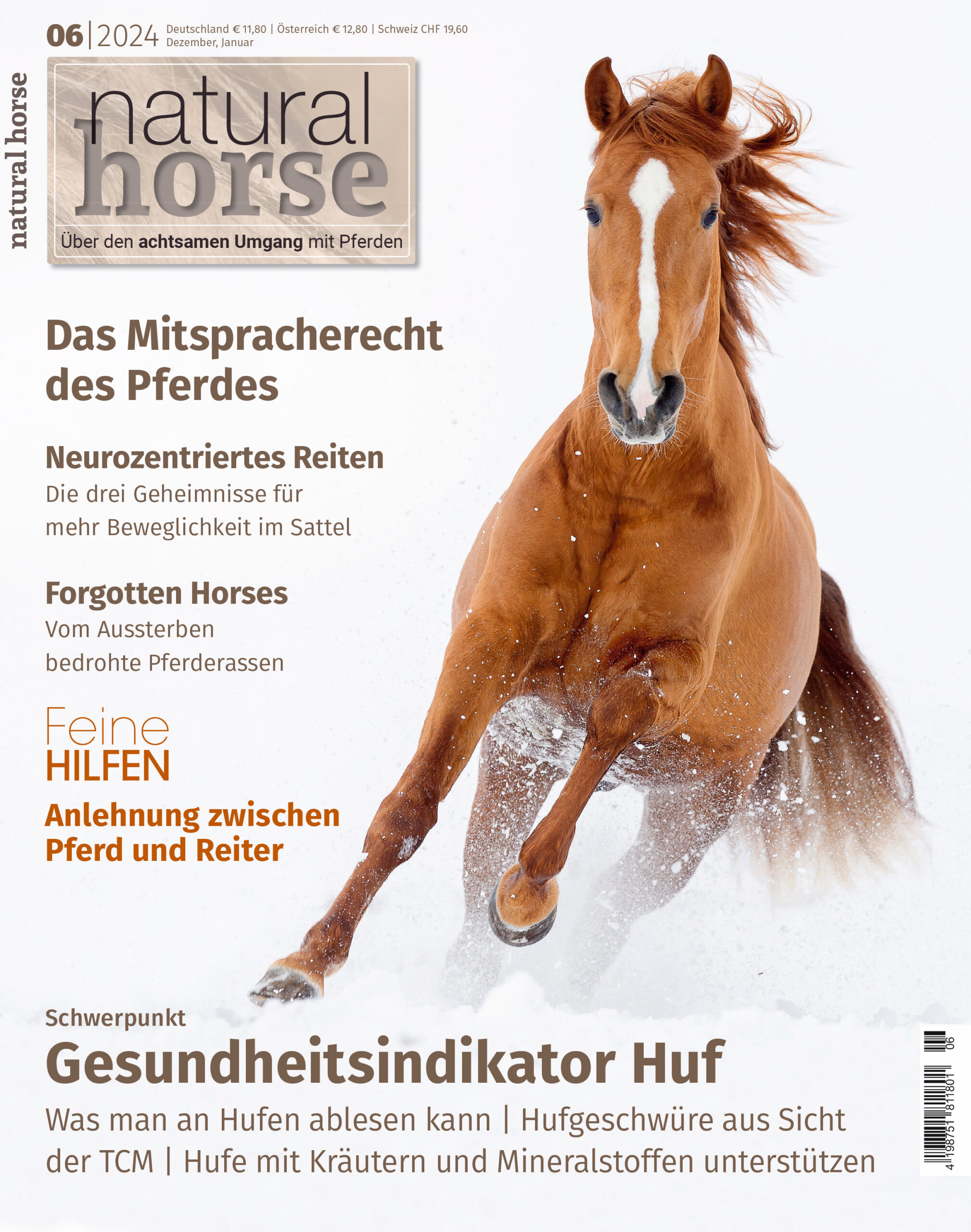 Natural Horse 54 - Gesundheitindikator Huf