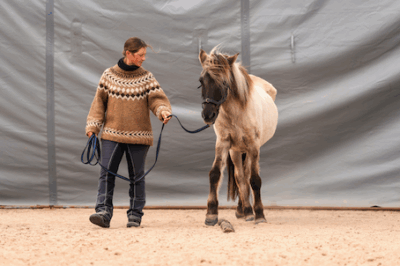 Seitswärtstreten mit Pferd