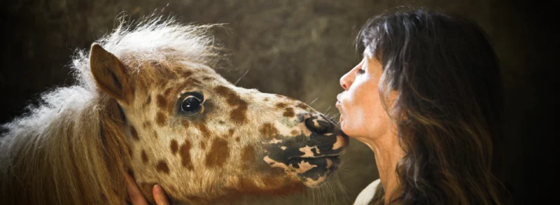 Mit Natural Horse achtsam die Welt der Pferde verstehen