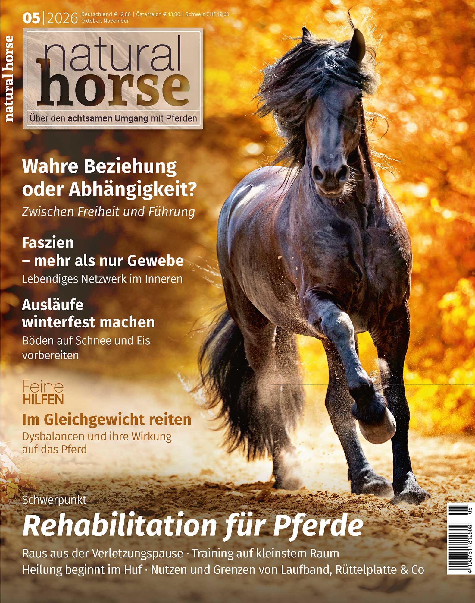 NH65-Titel-Web