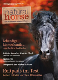 Natural Horse 06 - 03/2015