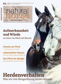 Natural Horse 13 - 01/2017