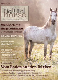 Natural Horse 23 - 01/2019