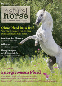Natural Horse 24 - 02/2019