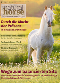 Natural Horse 33 - 01/2021