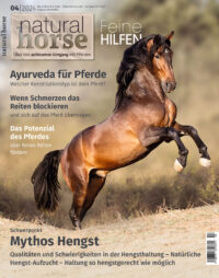 Natural Horse 52 - Mythos Hengst