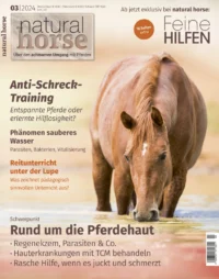 Natural Horse 51 03/2024